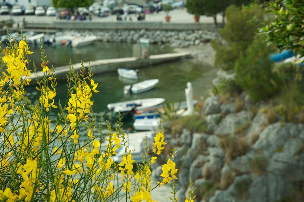 Romantic Hotel & Restaurant Villa Cheta Elite Maratea Kültér fotó